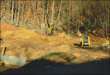 Land Clearing