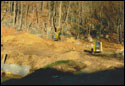 landscaping_01