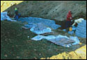 landscaping_02